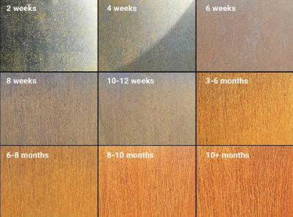 info-428-317 info-428-317